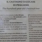 Casa Del Castagno Dom wakacyjny Pulfero