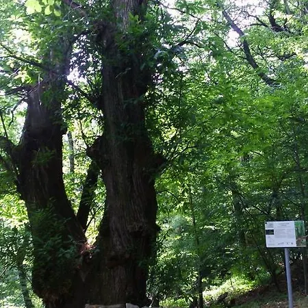 Casa Del Castagno Hébergement de vacances