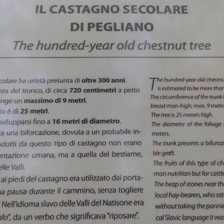 Casa Del Castagno Casa vacanze Pulfero